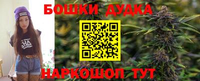 крисы Усть-Джегута