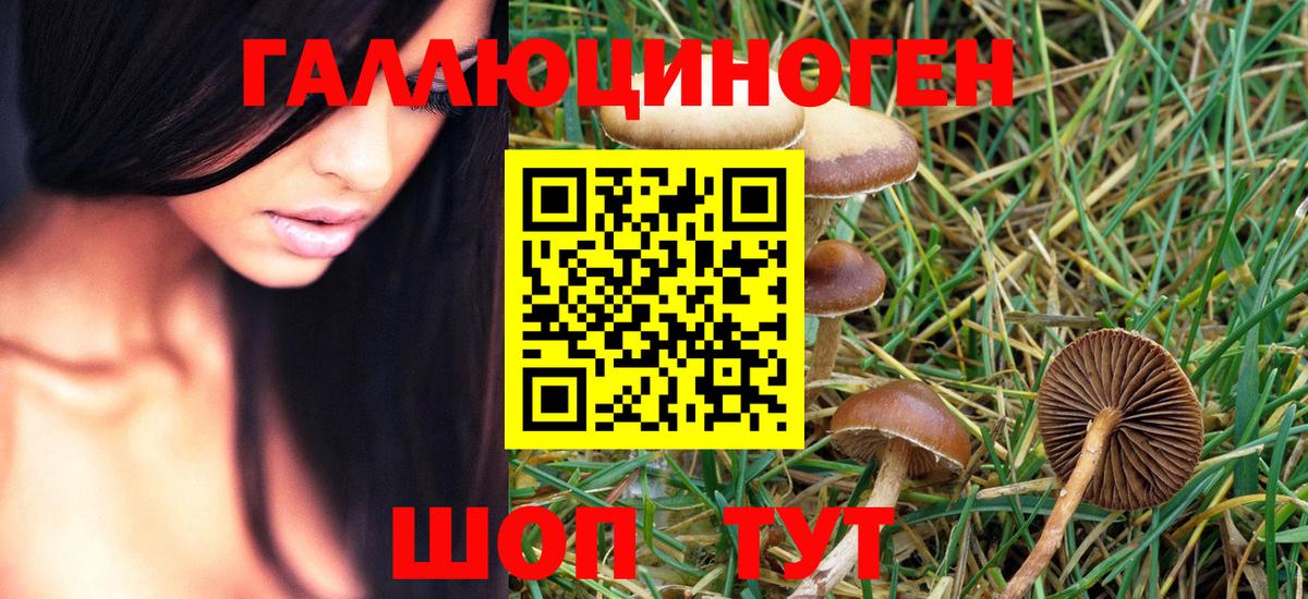 Галлюциногенные грибы MAGIC MUSHROOMS  продажа наркотиков  Галлюциногенные грибы мухоморы  Кудымкар  Вход с VPN 
