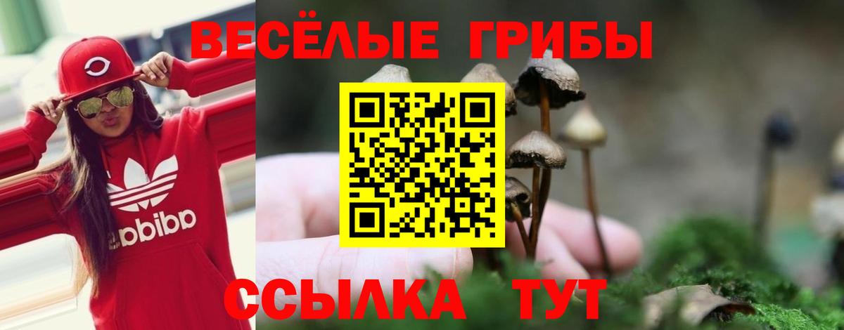 Кокаин  ГАШИШ  А ПВП СК   Вход с VPN  Мефедрон   Кудымкар  Конопля  ГАШИШ  МЕТАМФЕТАМИН 